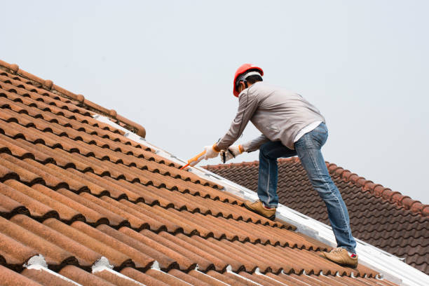 Best Roof Insulation Installation  in Haymarket, VA