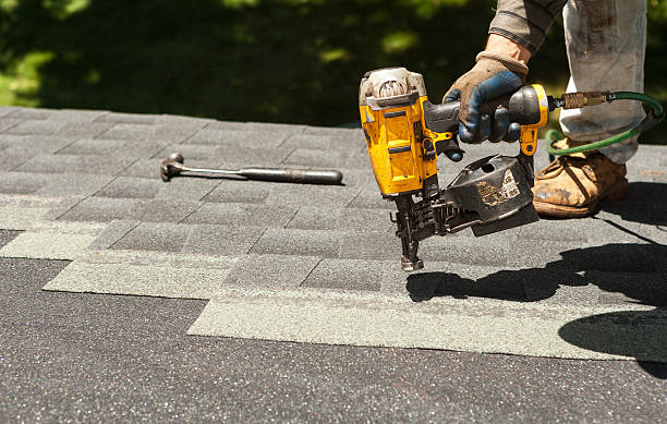 Best Roof Moss and Algae Removal  in Haymarket, VA